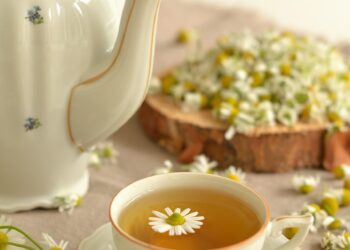 Essential First Aid for Outdoor Survival: Tips for Every Adventurer