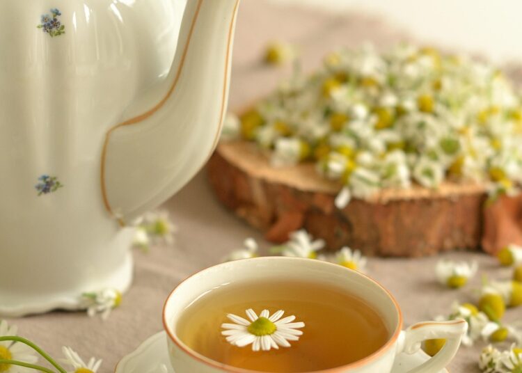 Essential First Aid for Outdoor Survival: Tips for Every Adventurer