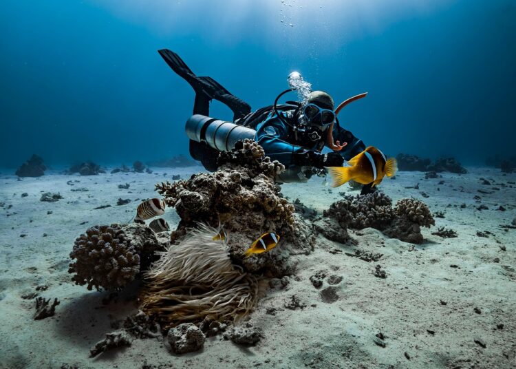 Essential Review: The Best Survival Gear for Bug Out Bag Selection