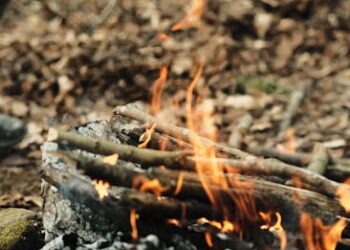 Top 10 Essential Survival Skills for Camping Trips