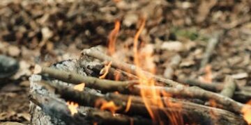 Top 10 Essential Survival Skills for Camping Trips