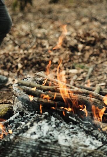 Top 10 Essential Survival Skills for Camping Trips