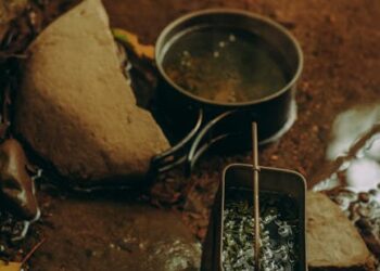 Top 5 Survival Skills Everyone Should Know Outdoors