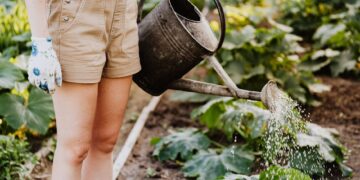 How to Find Food in the Wilderness: Essential Tips for Survival