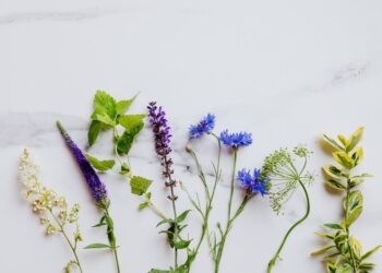 Unlock the City's Bounty: 5 Essential Tips for Beginners in Urban Foraging