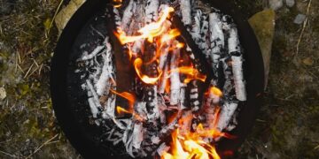 Mastering the Basics: 5 Core Wilderness Survival Techniques You Need to Know