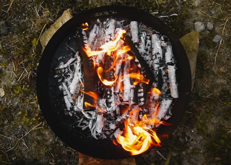 Mastering the Basics: 5 Core Wilderness Survival Techniques You Need to Know