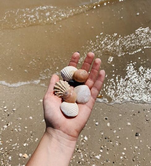 Unlocking Nature's Pantry: A Beginner's Guide to Bushcraft Food Foraging Basics