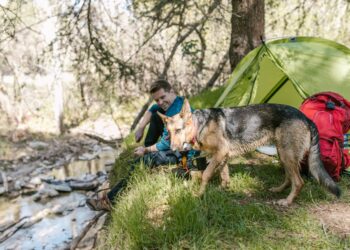 10 Essential Components for Your Outdoor Living Setup for Camping
