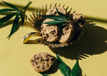 7 Essential Tips: How to Find Clean Water While Hiking