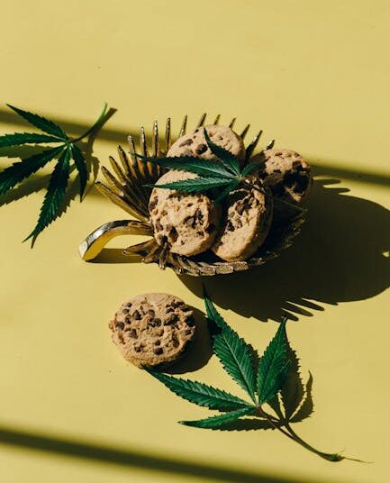 7 Essential Tips: How to Find Clean Water While Hiking