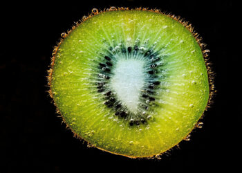 5 Essential Wilderness Water Sourcing Methods Every Outdoor Enthusiast Should Know